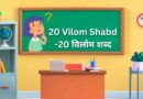20 Vilom Shabd – 20 विलोम शब्द