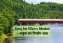 Anuj ka Vilom Shabd – अनुज का विलोम शब्द