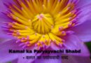 Kamal ka Paryayvachi Shabd – कमल का पर्यायवाची शब्द In Hindi