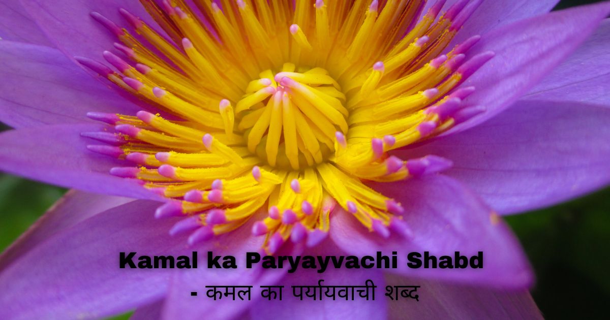 Kamal ka Paryayvachi Shabd - कमल का पर्यायवाची शब्द