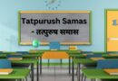 Tatpurush Samas - तत्पुरुष समास