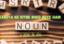 Sangya ke Kitne Bhed Hote Hain – संज्ञा के भेद:व्याकरण में संज्ञा का महत्व