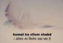 komal ka vilom shabd – कोमल का विलोम शब्द क्या है
